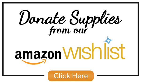 Amazon Wish List Donation Link